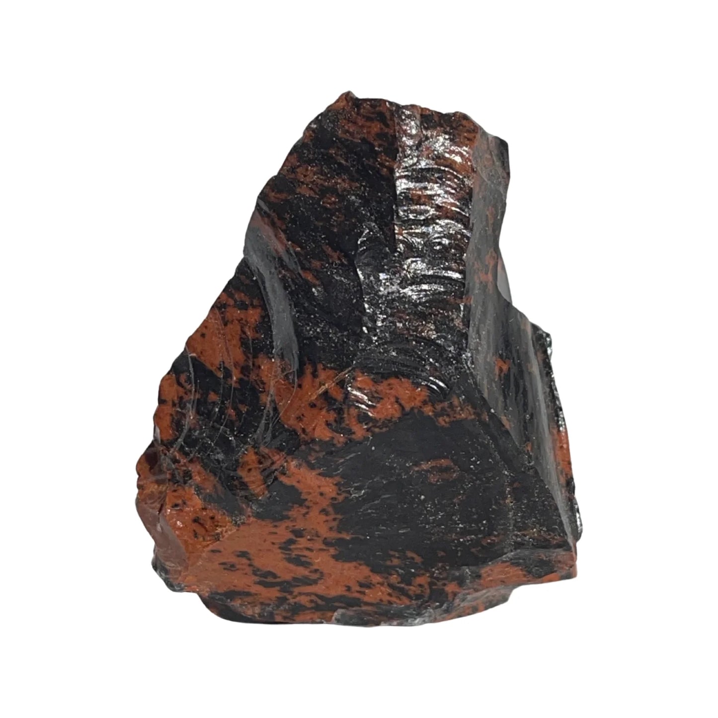 S73d15ee82b7345d7a66883f4a3e8dedew